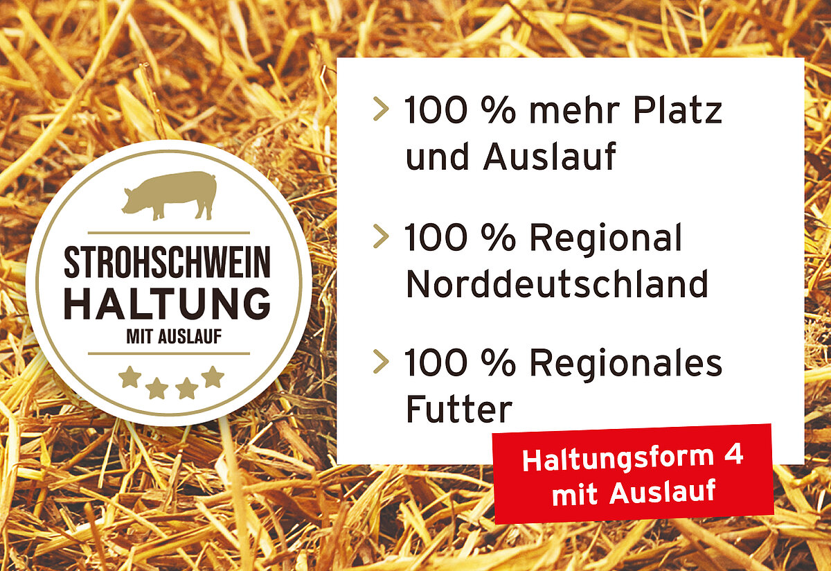 Strohschweine Offenstallhaltung