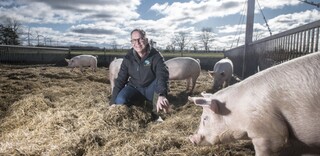 Tierwohl BIO Schweinefleisch aus Deutschland Tierwohl BIO Schweinefleisch aus Deutschland