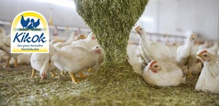 Tierwohl Kikok-Maishähnchen aus Deutschland Tierwohl Kikok-Maishähnchen aus Deutschland