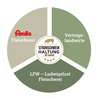 Strohschwein Infografik