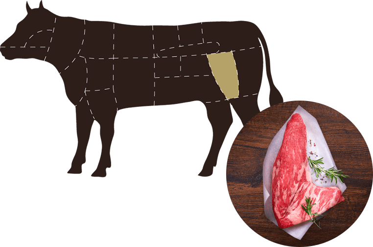 gut gereiftes Tri-Tip Steak